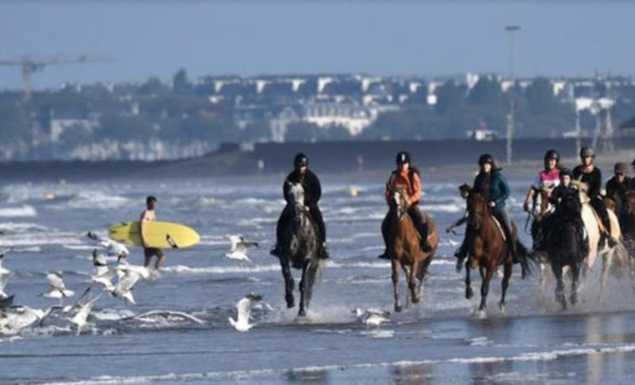 Les Echappees Belles De L'Ocean Apartment Le Pointeau ภายนอก รูปภาพ